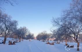 Winter and spring disaster response strengthened